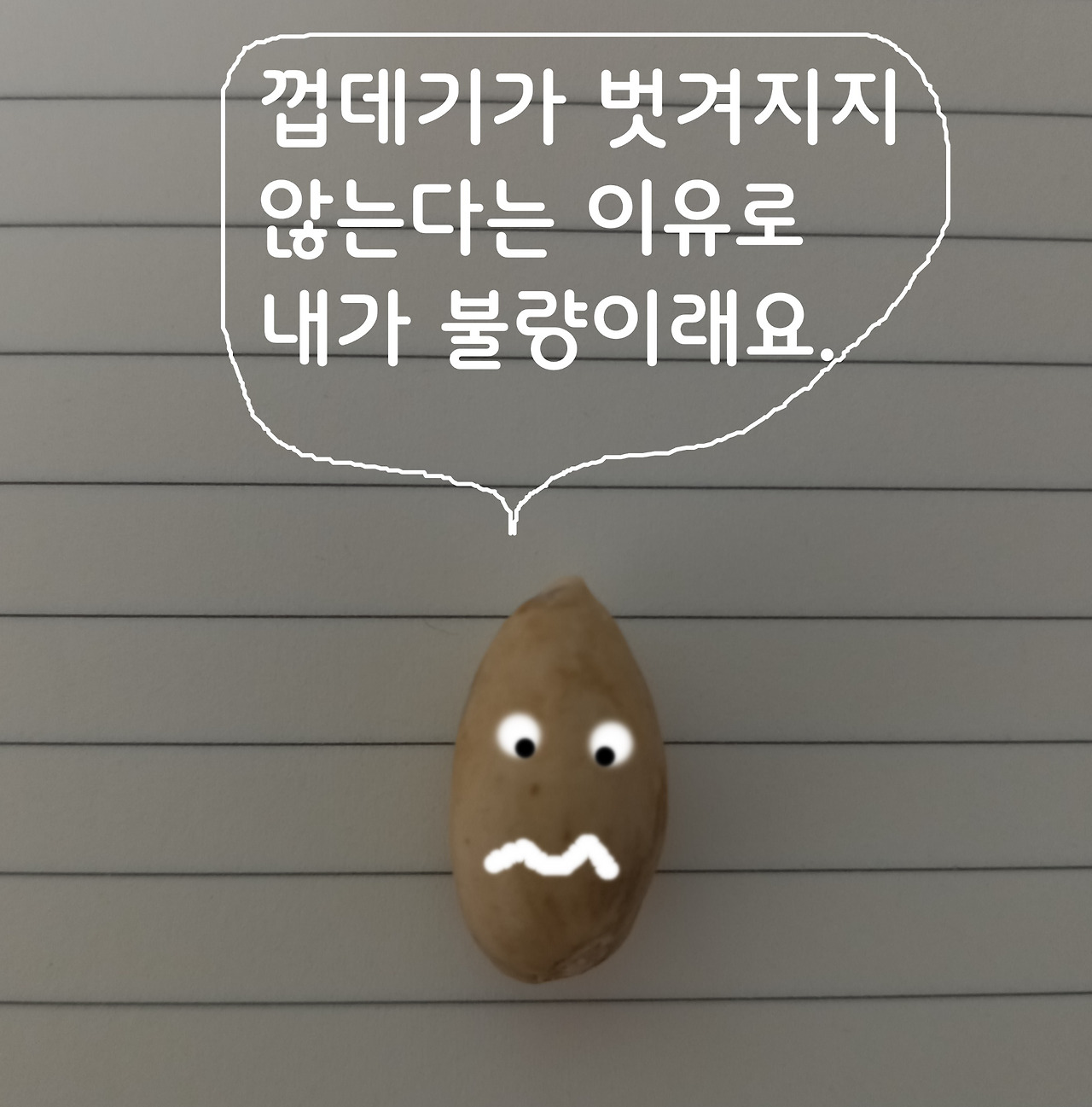 피스타치오이야기1.jpg