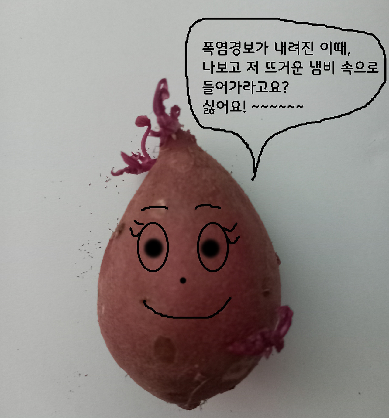고구마의꿈.jpg