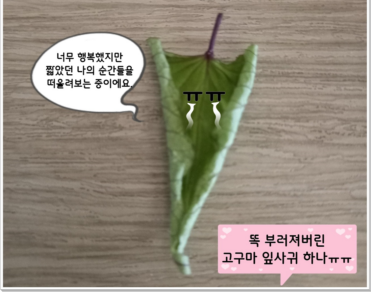 고구마네가족1.jpg