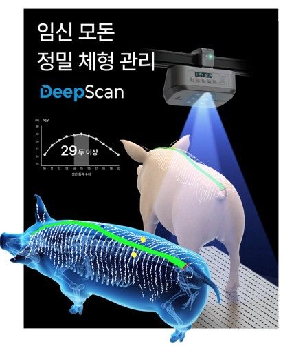 화면 캡처 2025-04-30 084540.jpg