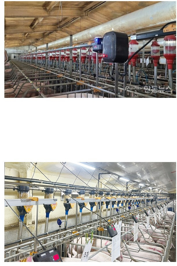 화면 캡처 2025-05-08 165422.jpg