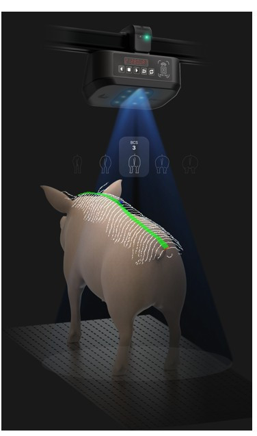 화면 캡처 2025-05-07 093844.jpg