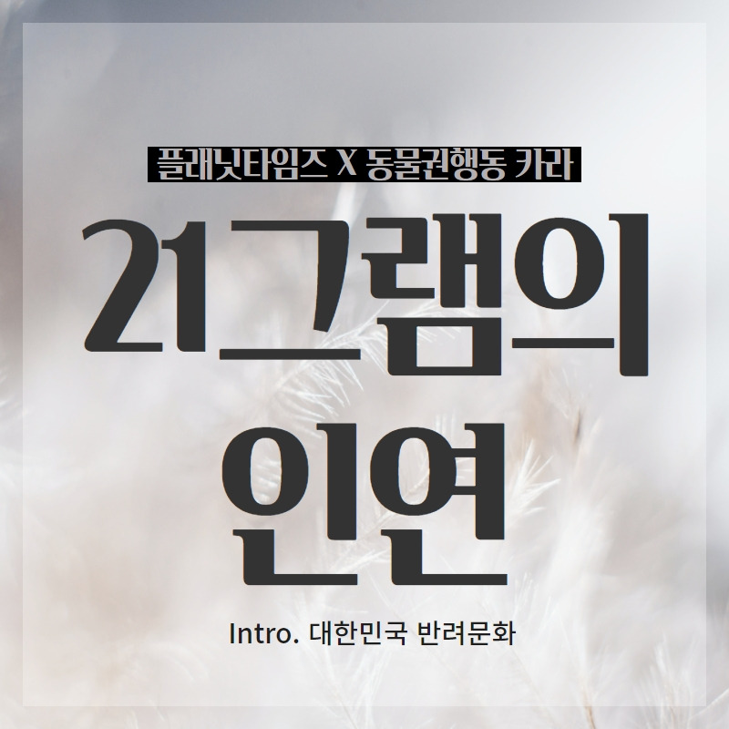 제목을 입력하세요 (5).jpg