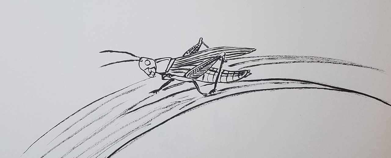 20220216_124100 (2).jpg