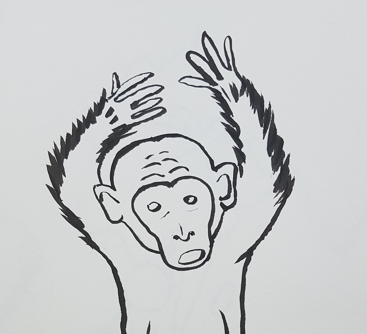 20220204_144057 (3).jpg