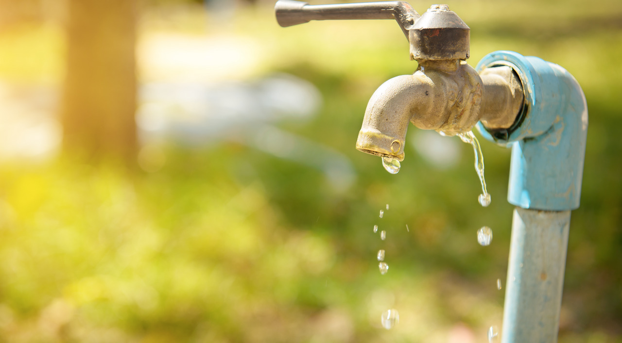 shutterstock_255819721 (1).jpg