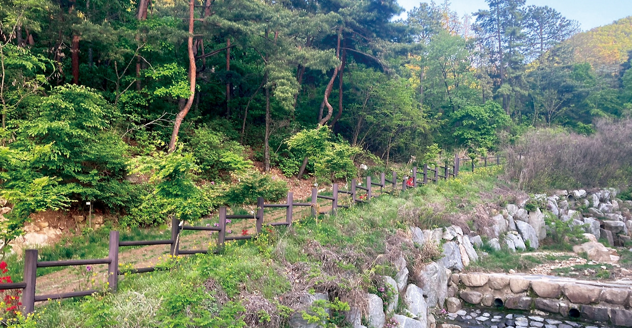 관악산 사진1.jpg