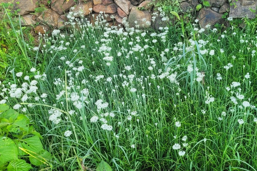 KakaoTalk_20251218_111335890_01 1.jpg