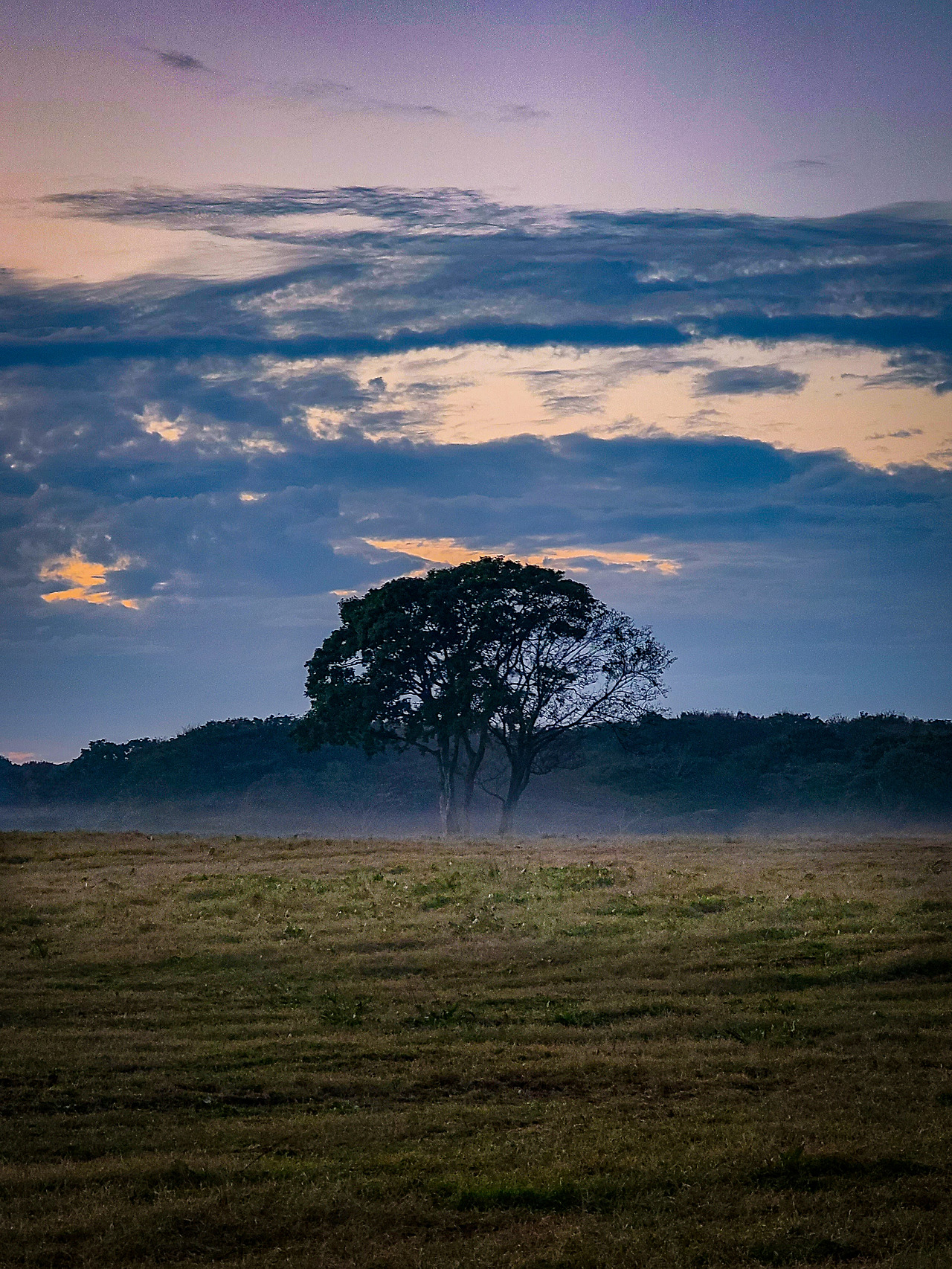 20211007_182020 (1).jpg