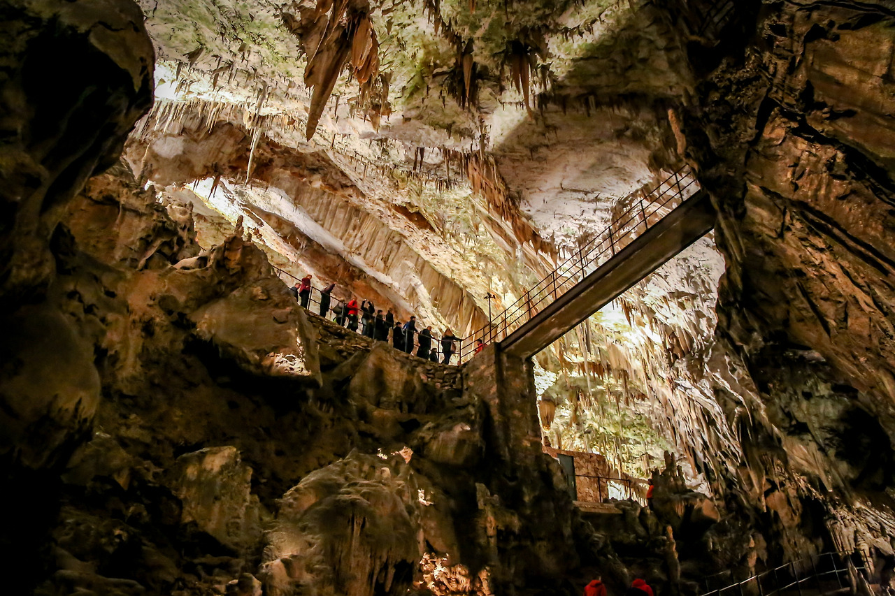 포스토이나 (2).jpg