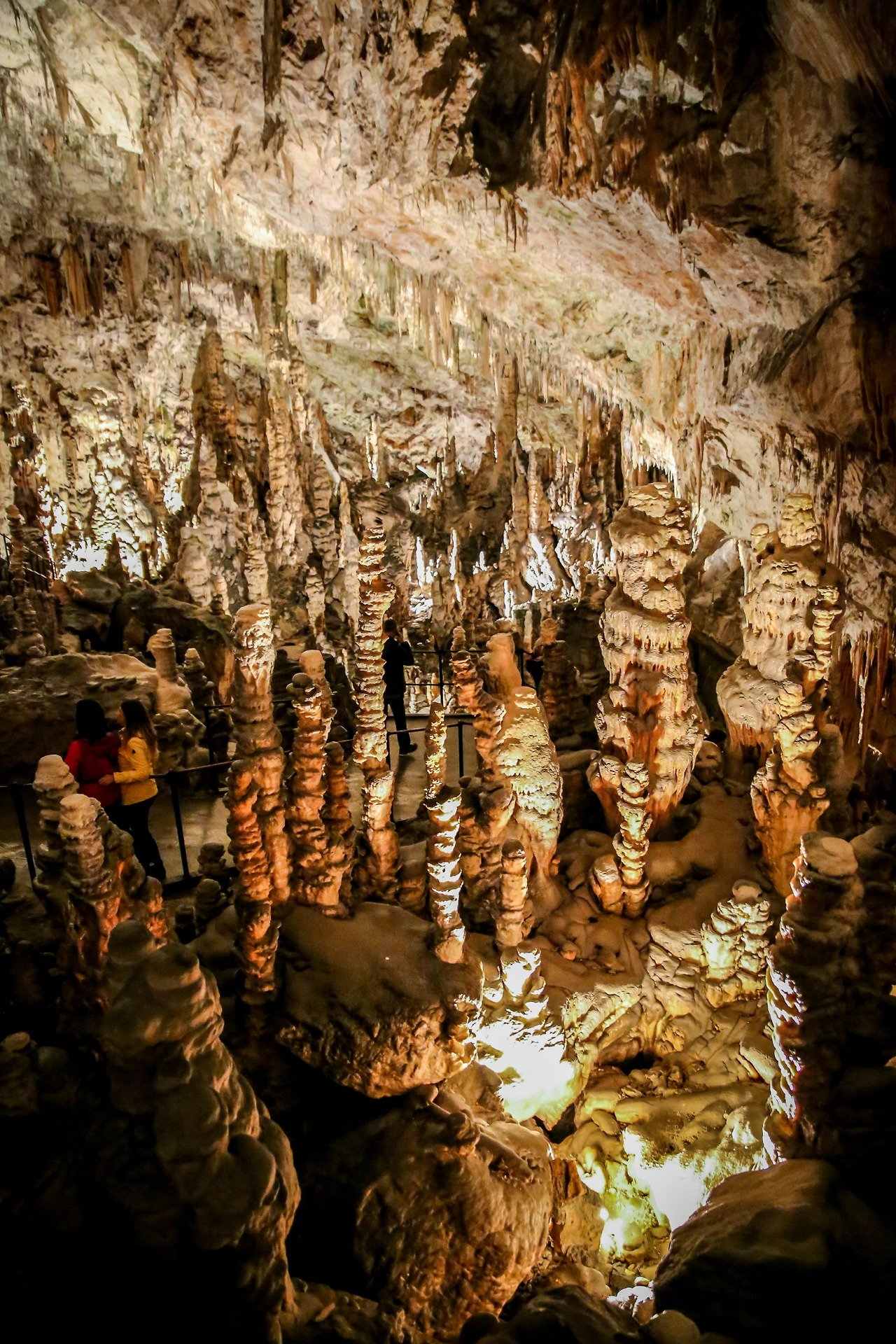 포스토이나 (8).jpg