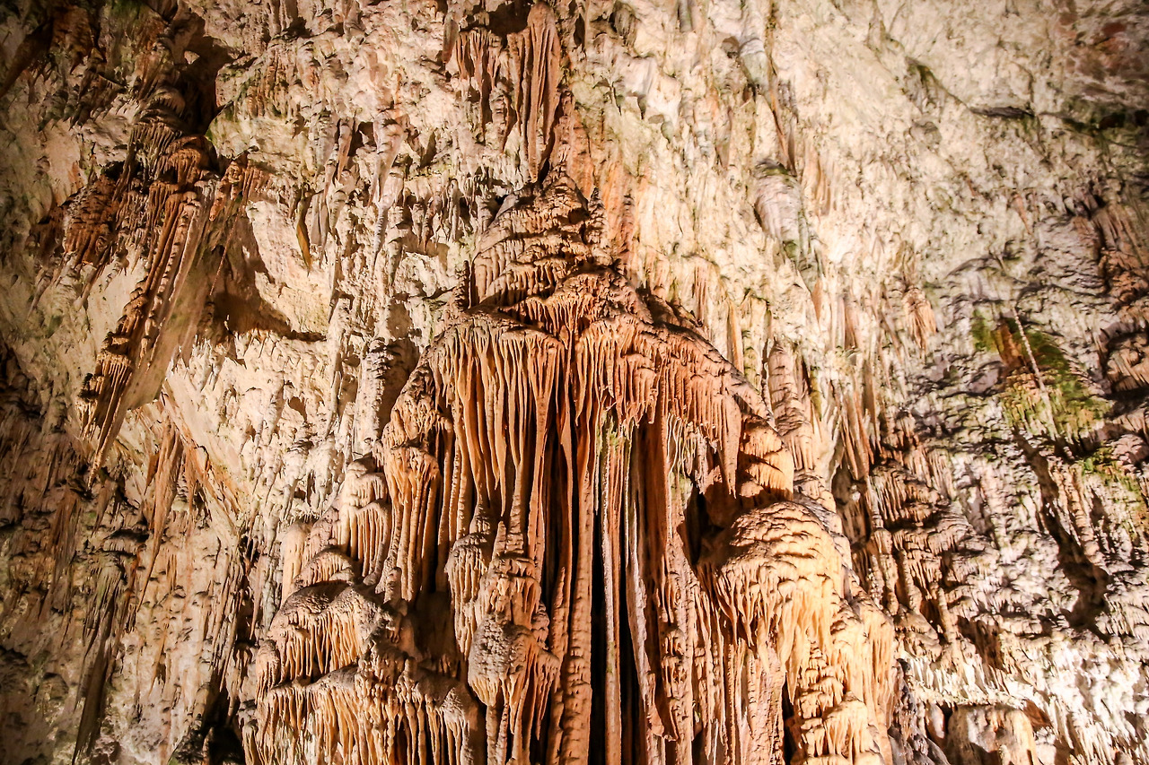 포스토이나 (7).jpg