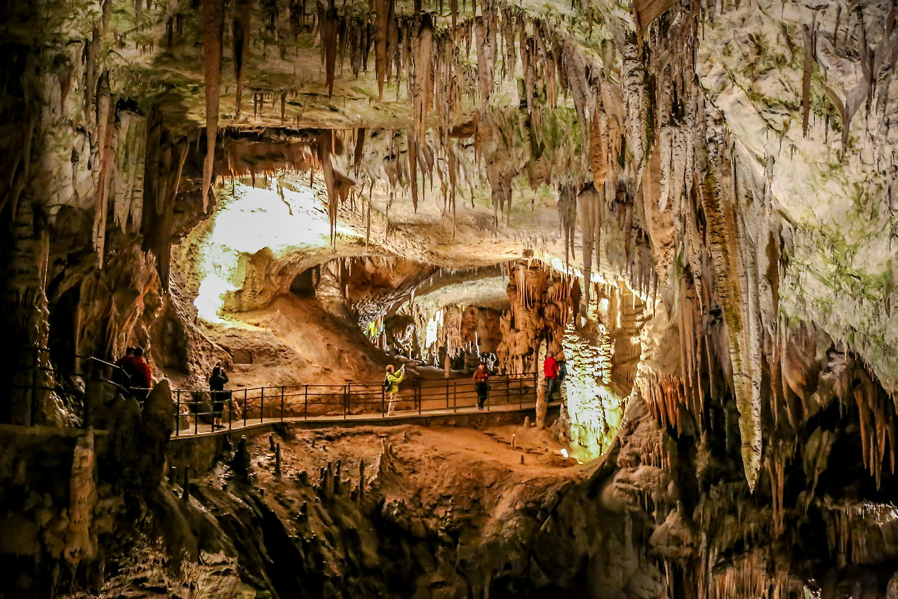 포스토이나 (1).jpg