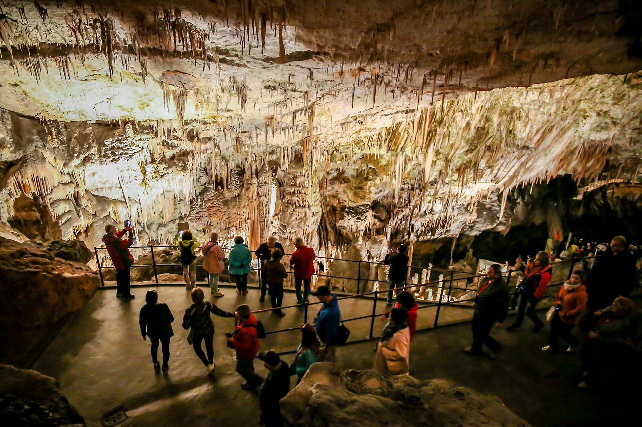 포스토이나 (9).jpg