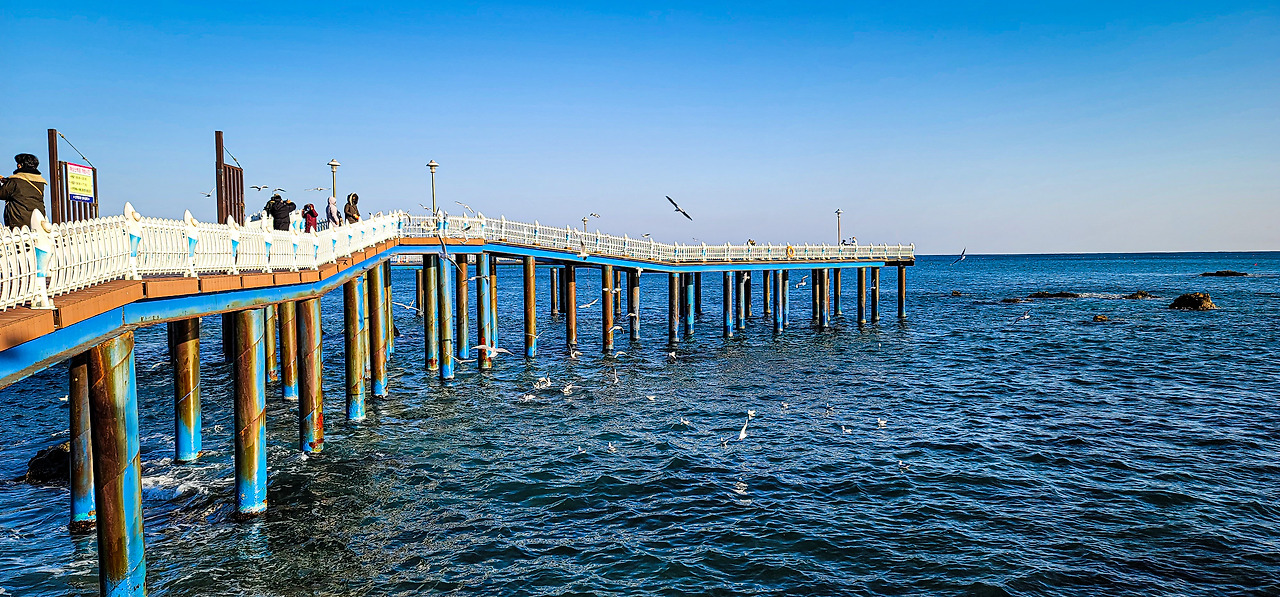 경북 영덕 블루밍 342 바다 뷰 카페 -삼사해상산책로 (1).jpg