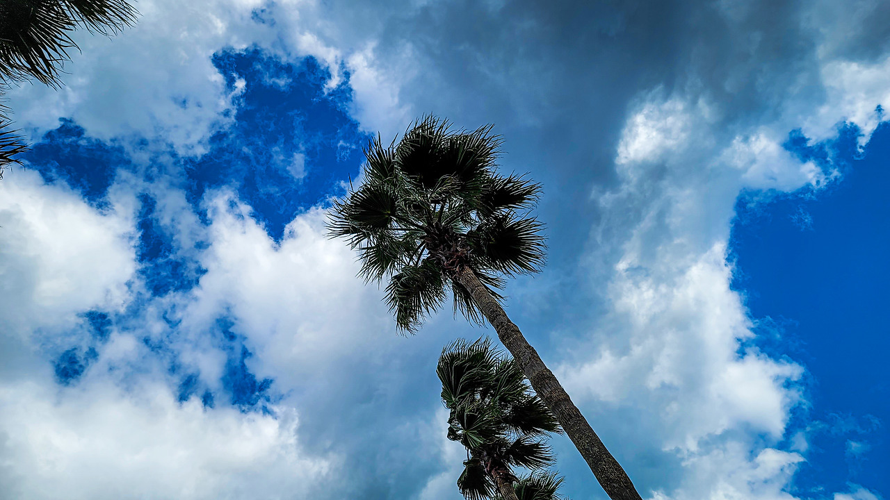 제주 세화 구좌읍 페어리 제주 (3).jpg