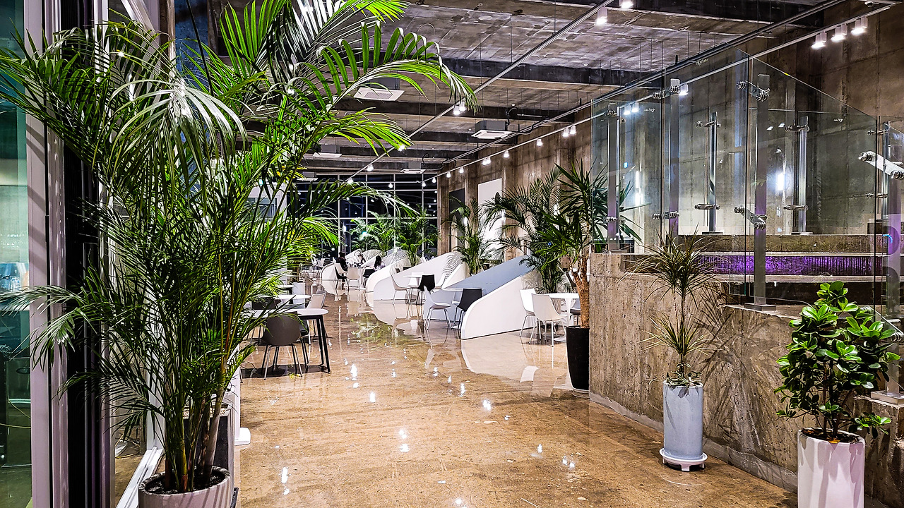 청주 성화동 하이 카페 (8).jpg