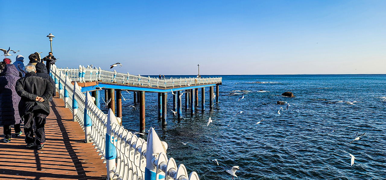 경북 영덕 블루밍 342 바다 뷰 카페 -삼사해상산책로 (3).jpg