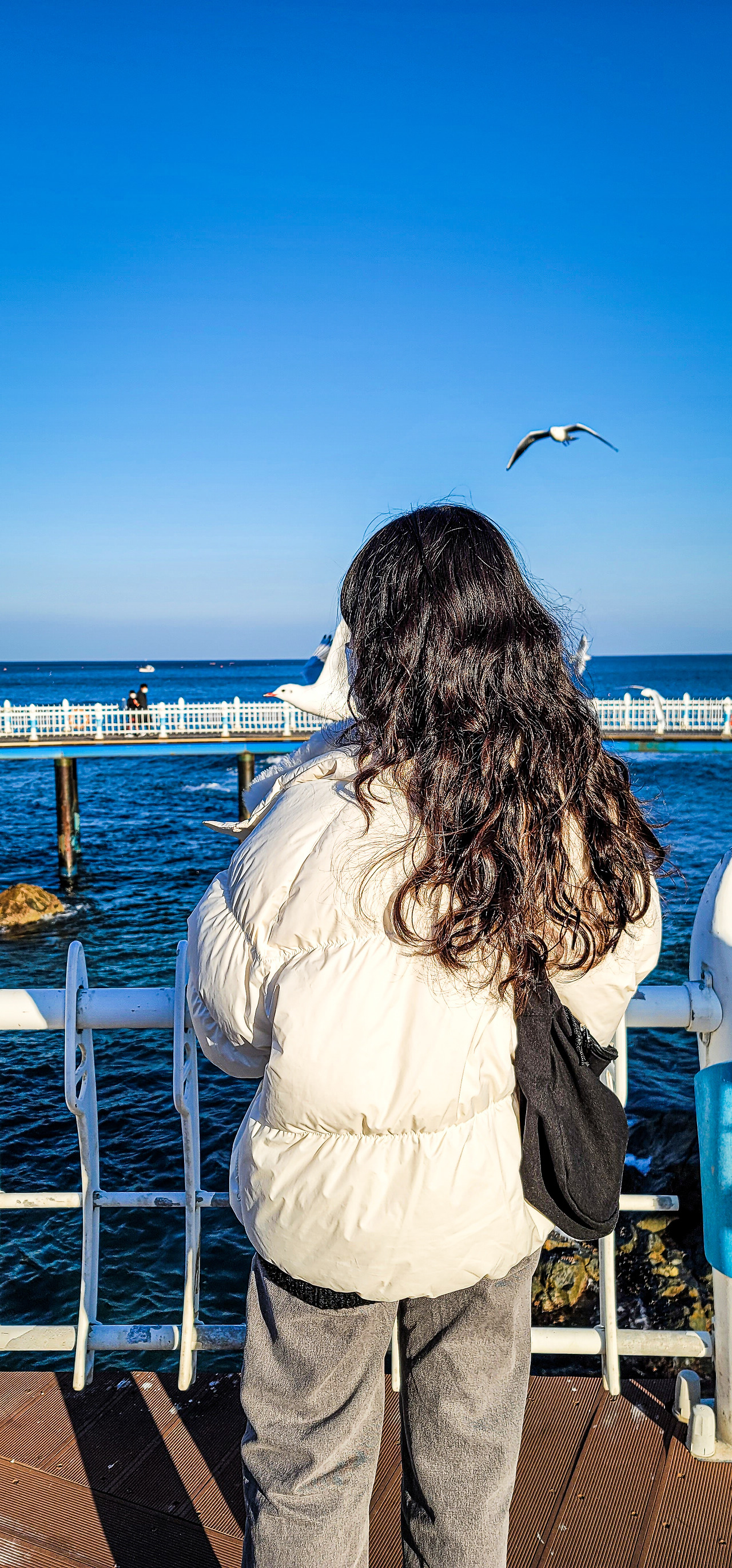 경북 영덕 블루밍 342 바다 뷰 카페 -삼사해상산책로 (16).jpg