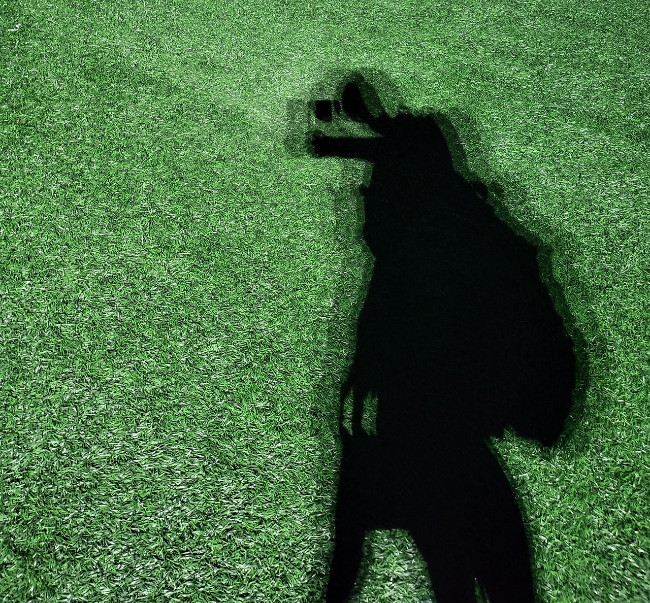 운동장 그림자.jpg