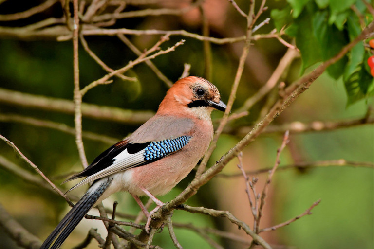 다운로드 (1).jpg