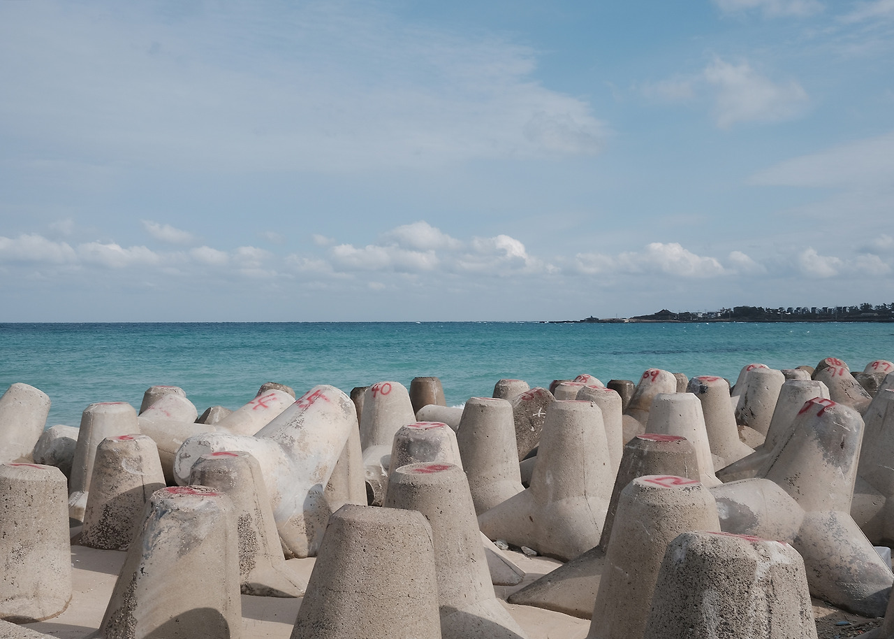 DSCF3504 복사 5R.jpg