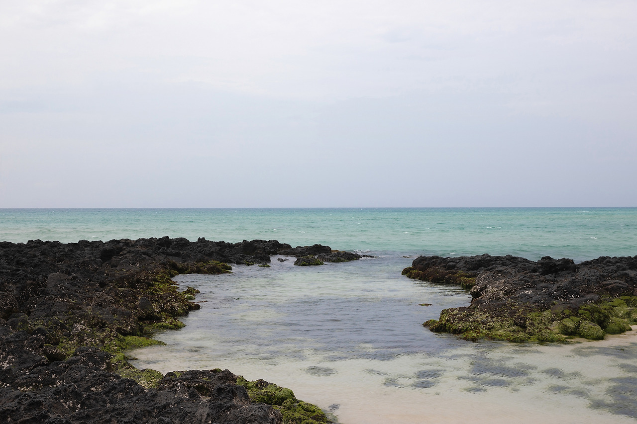 LSH_1437-RE 복사.jpg