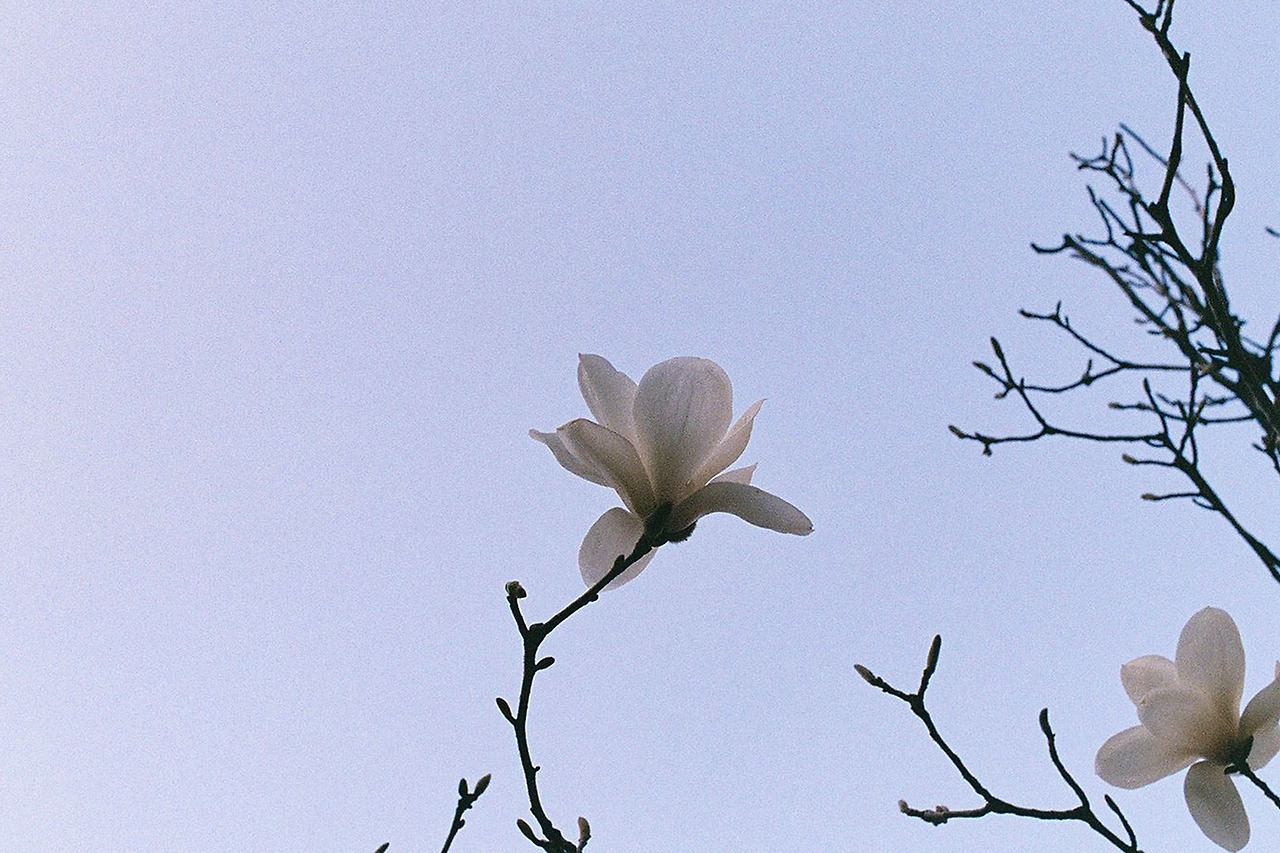 000003 복사2.jpg