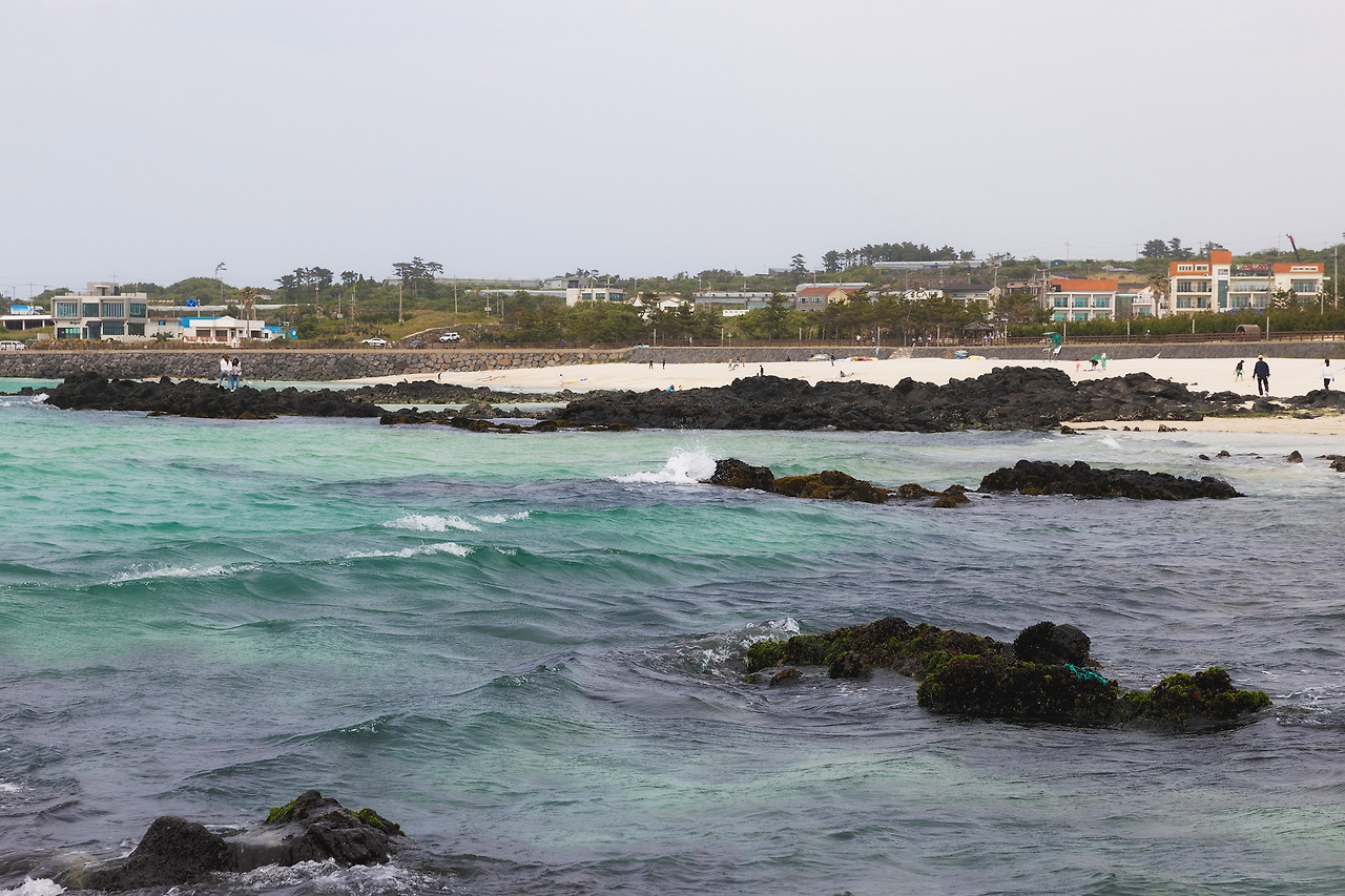 LSH_1493-RE 복사.jpg