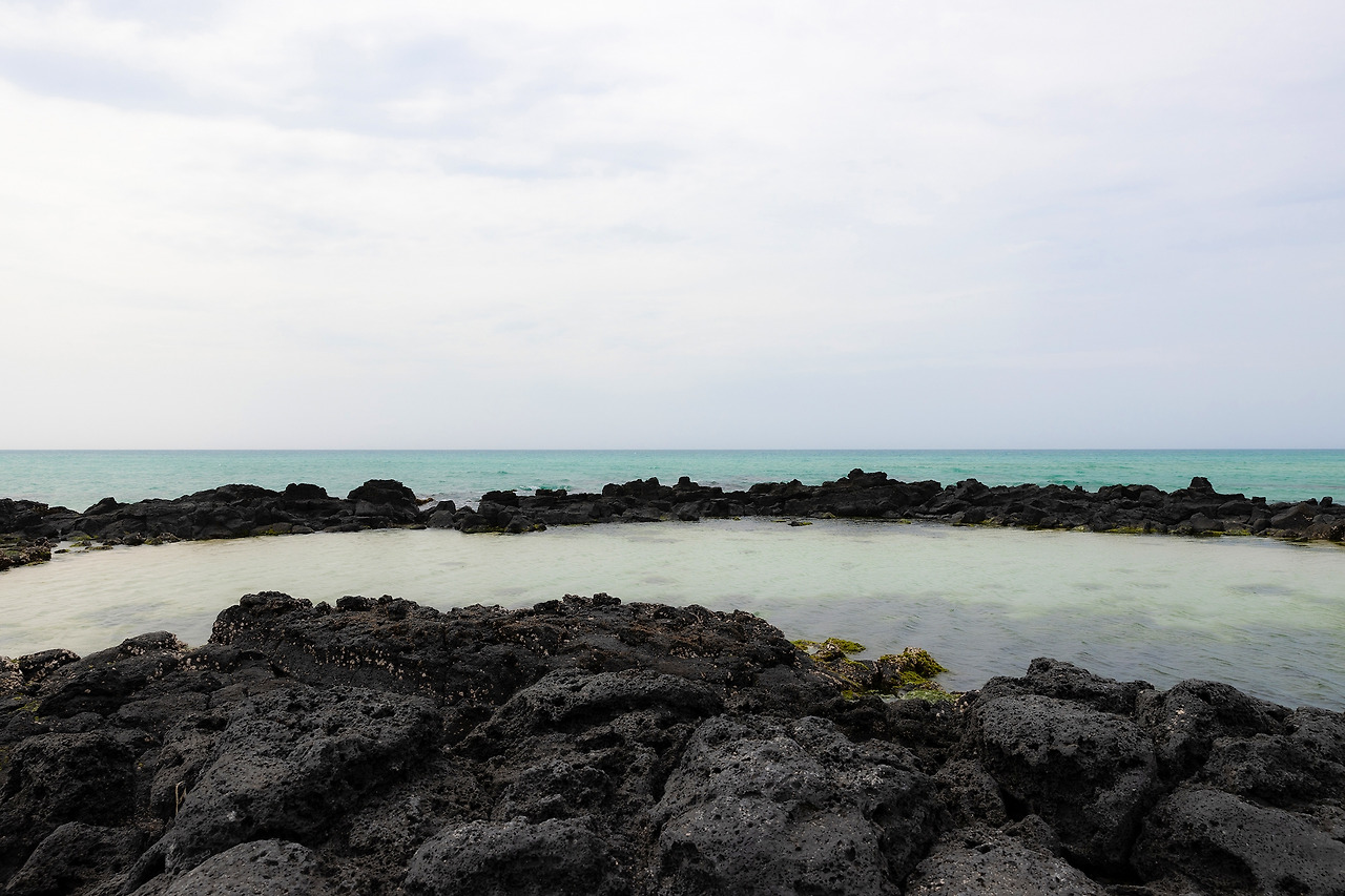 LSH_1511-RE 복사.jpg