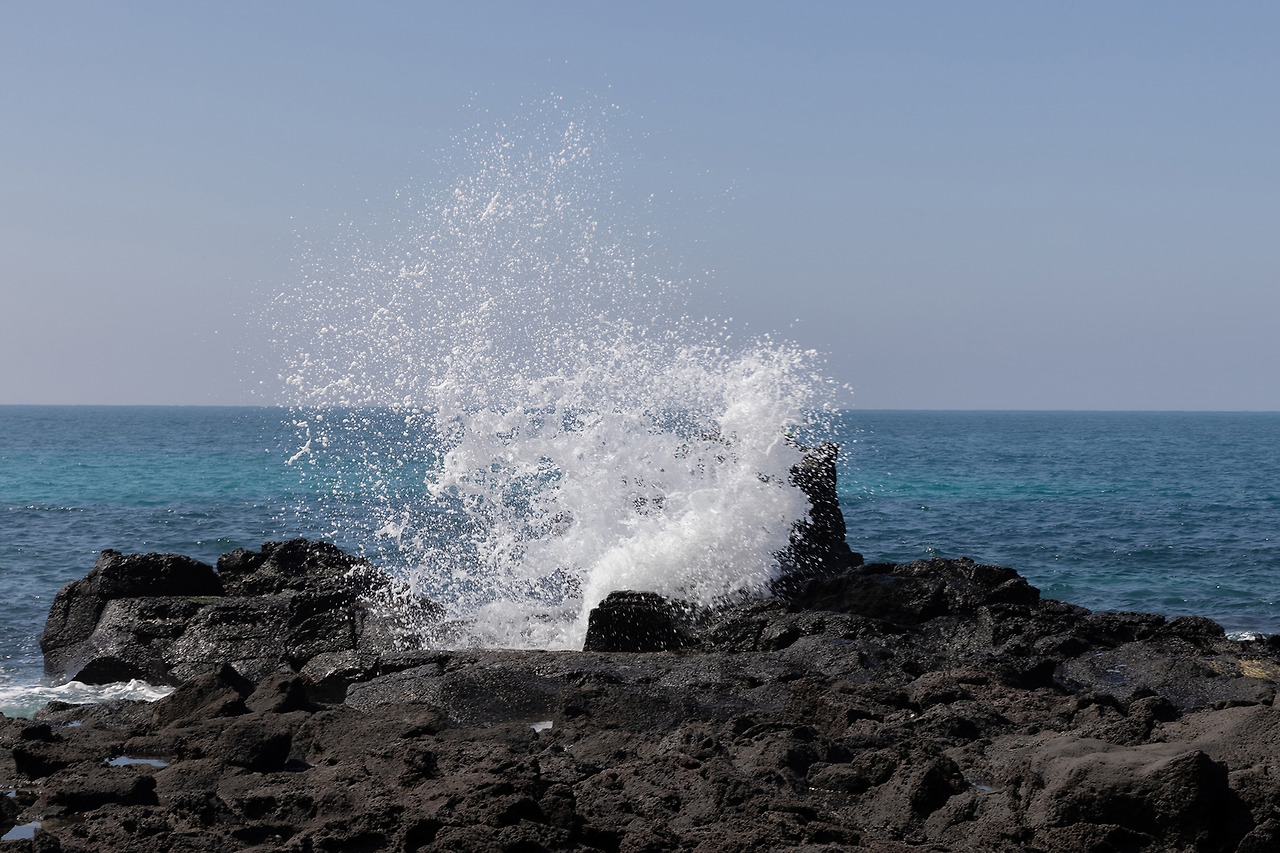 LSH_2075-RE 복사.jpg