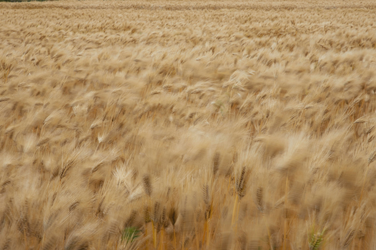 LSH_1082-RE 복사 21.jpg