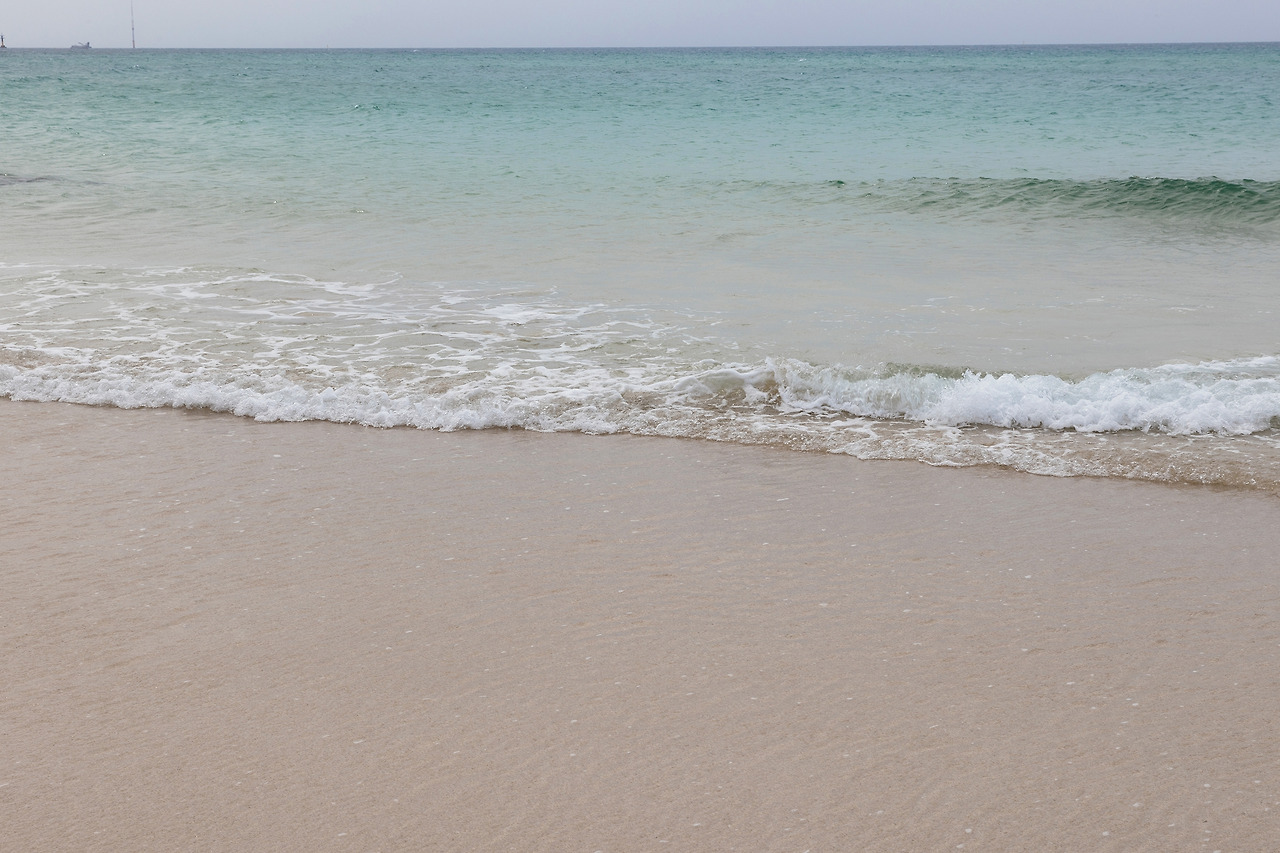 LSH_1452-RE 복사.jpg