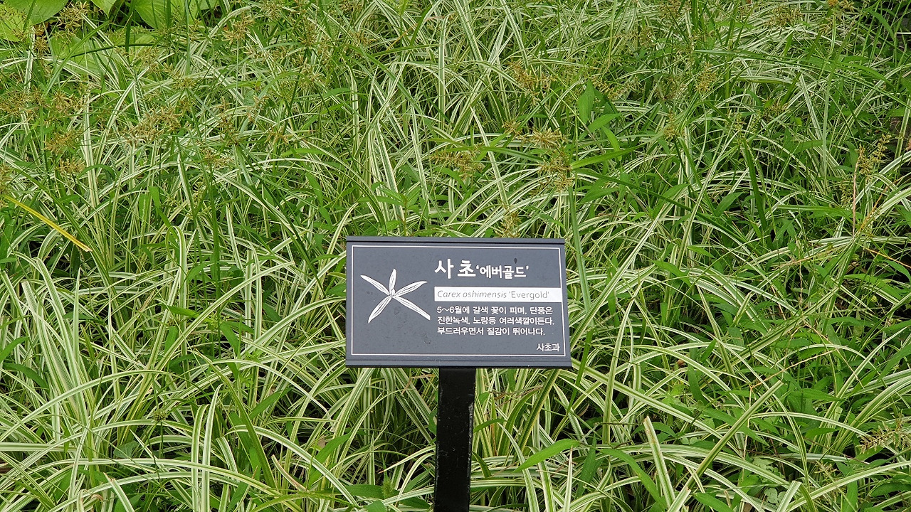 KakaoTalk_20220916_153301090_08 - 복사본.jpg