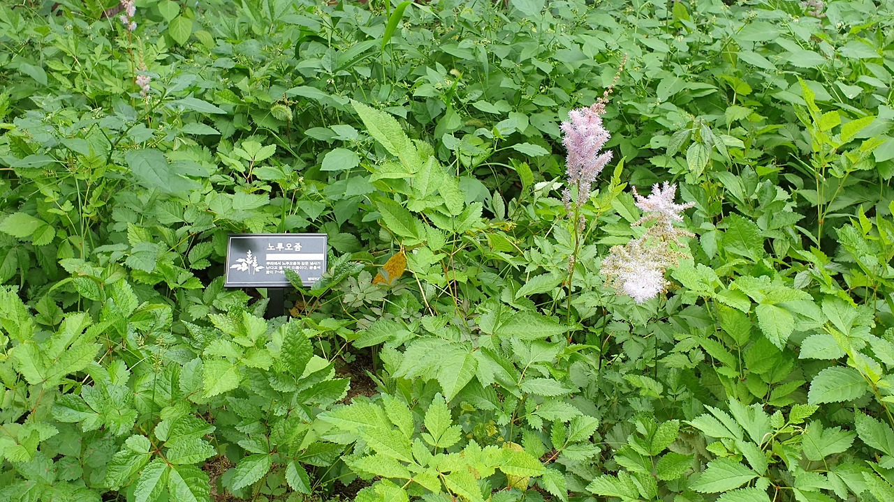 KakaoTalk_20220916_153301090_10 - 복사본.jpg