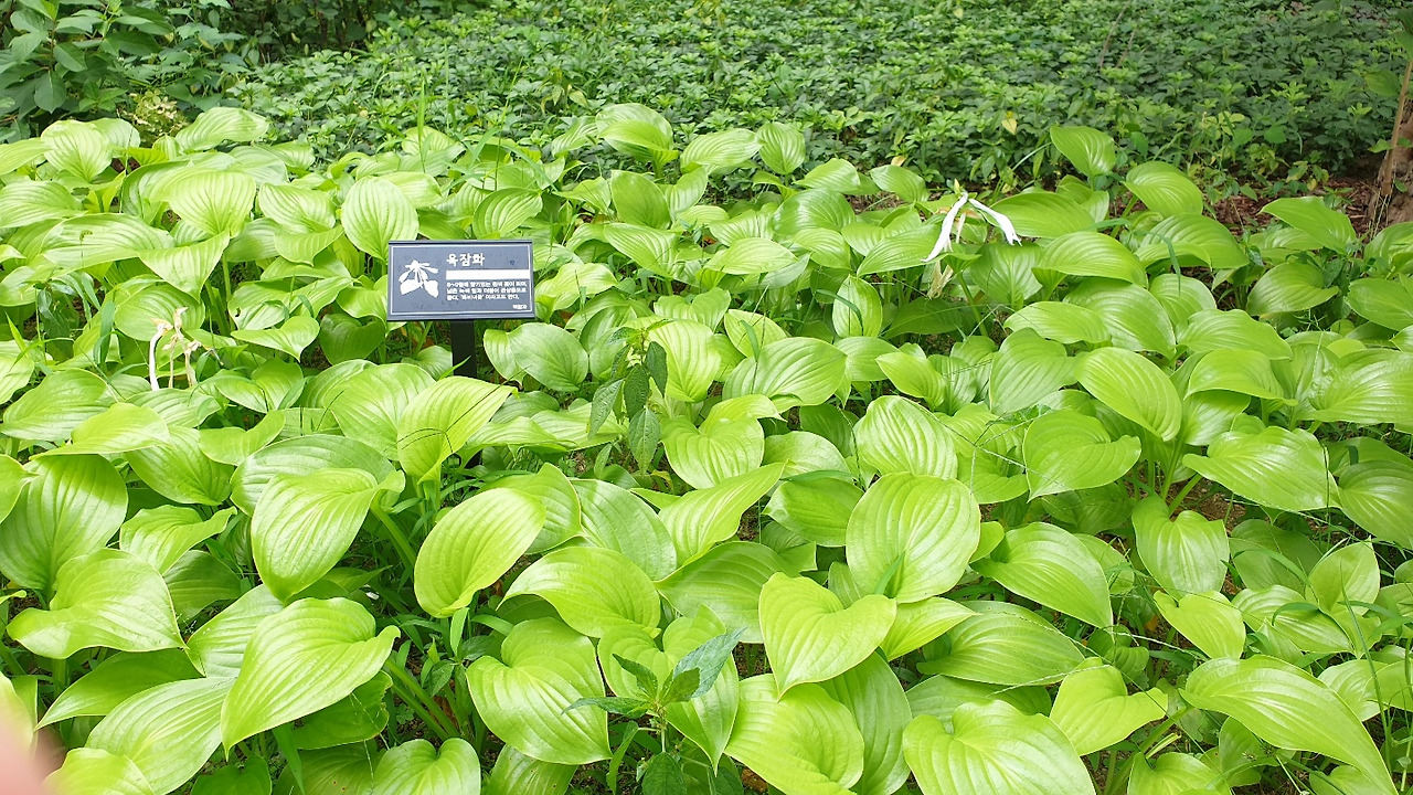 KakaoTalk_20220916_153301090_09 - 복사본.jpg