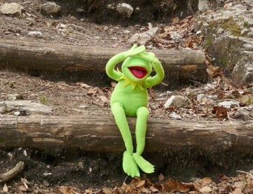 다운로드 (3).jpg