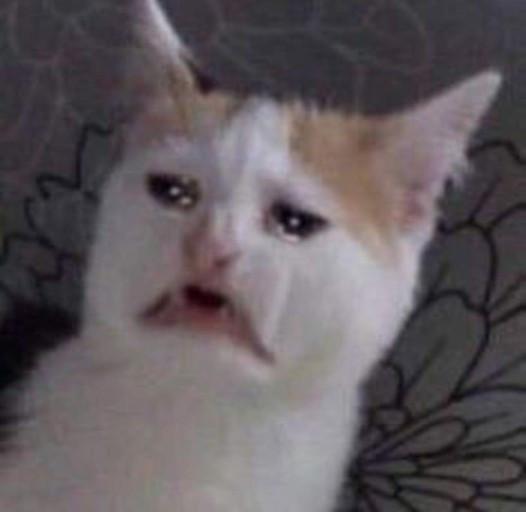 다운로드 (1).jpg