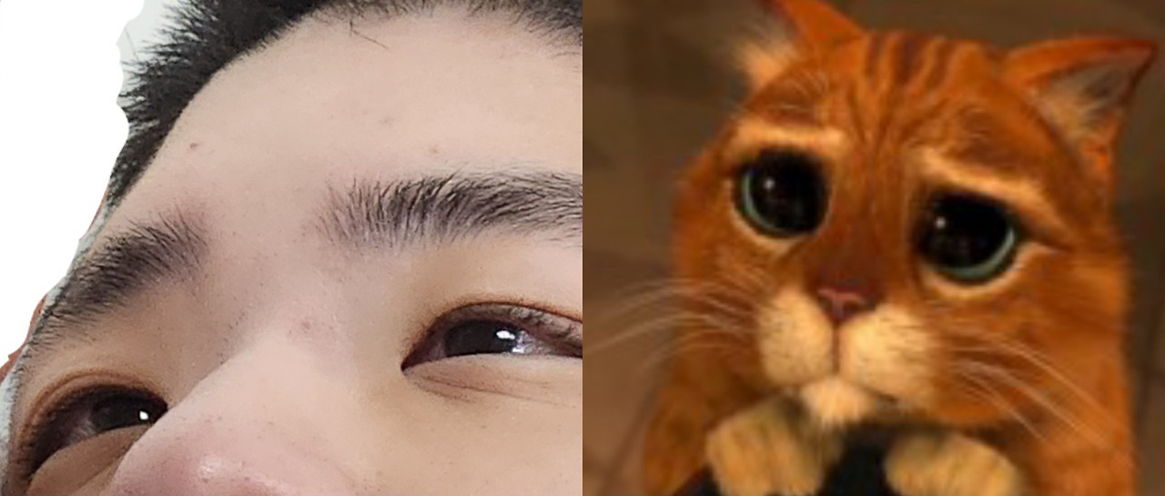 카지노 게임 사이트