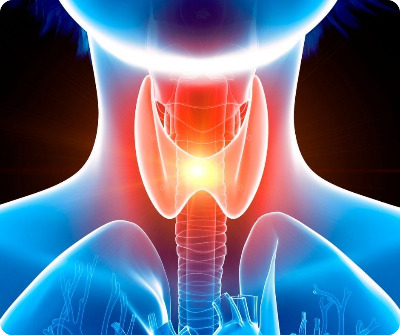 갑상선.jpg