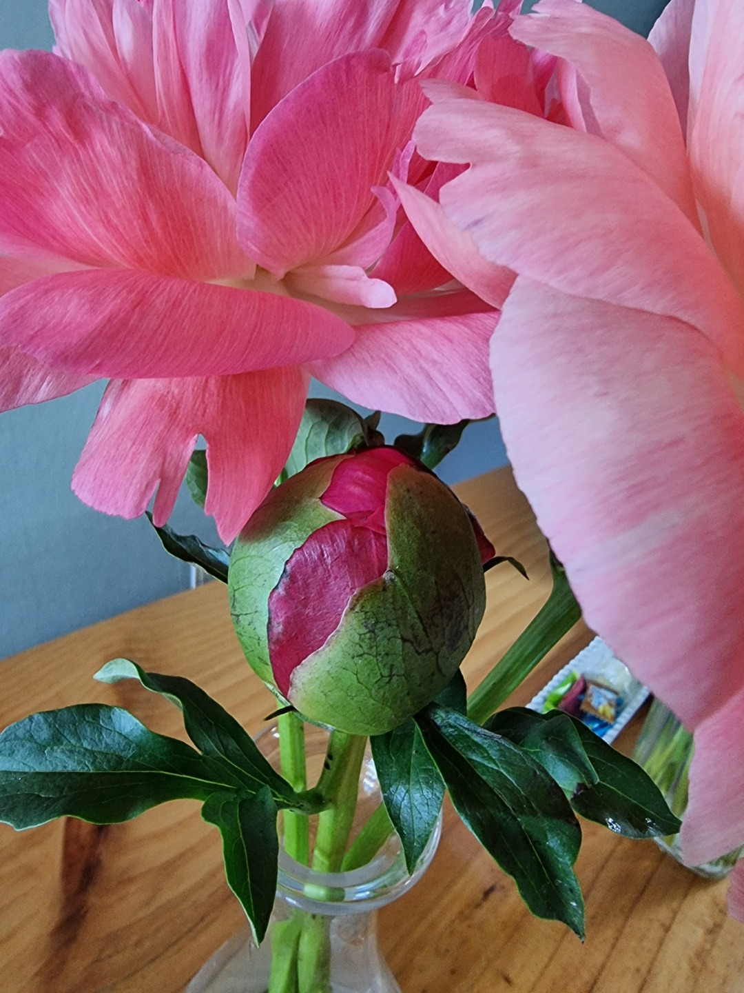 KakaoTalk_20220713_073917048_01 (1).jpg