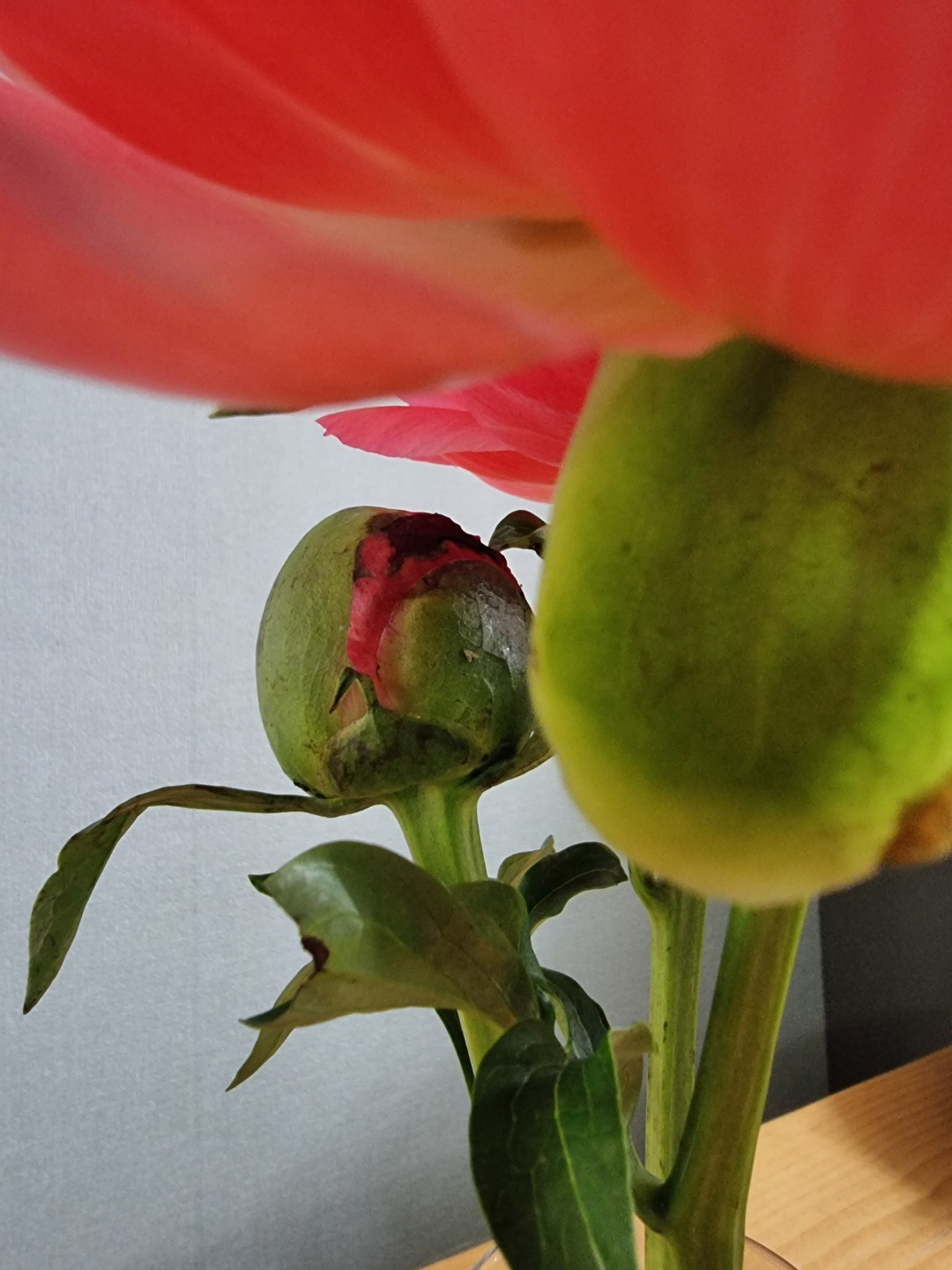 KakaoTalk_20220713_073917048_02 (1).jpg