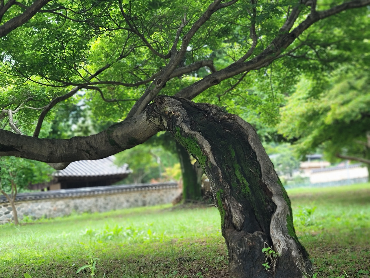 KakaoTalk_20250912_234816431_10 (1).jpg