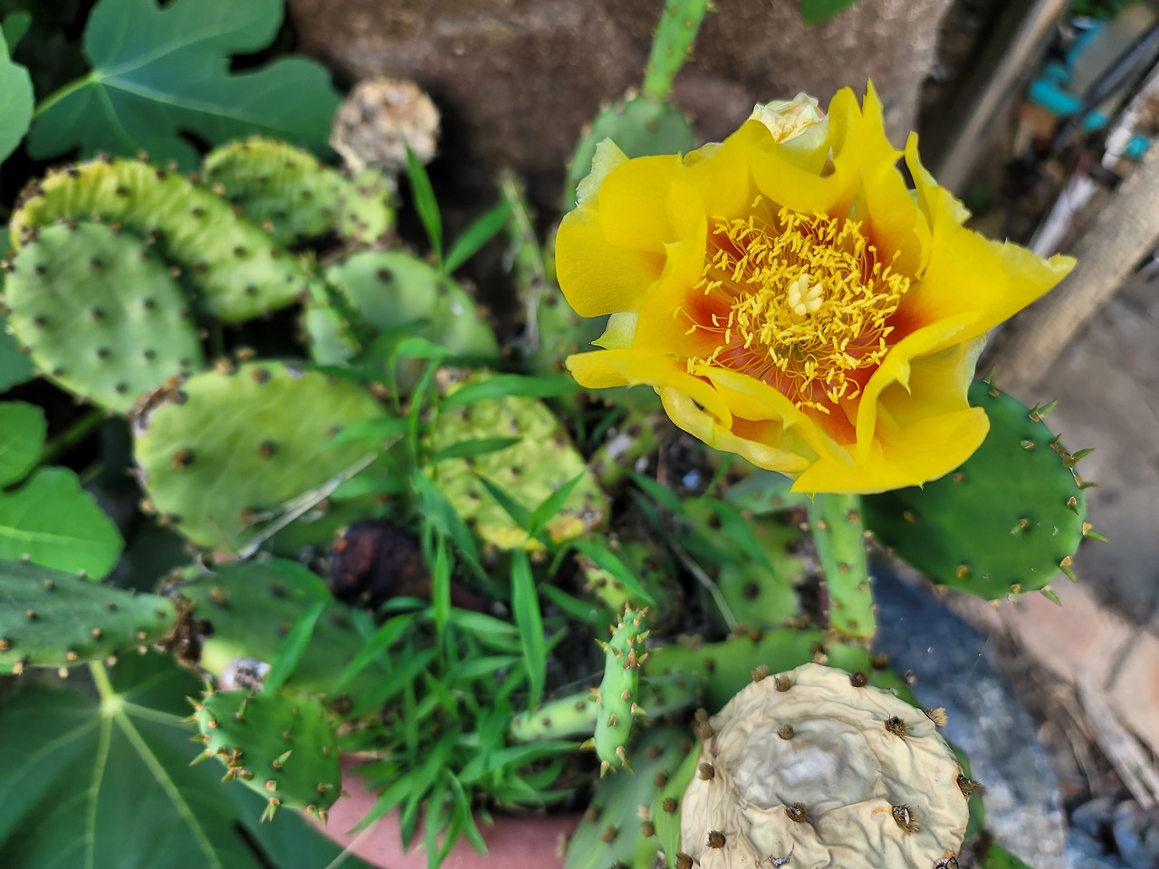 KakaoTalk_20250912_234816431_13 (1).jpg