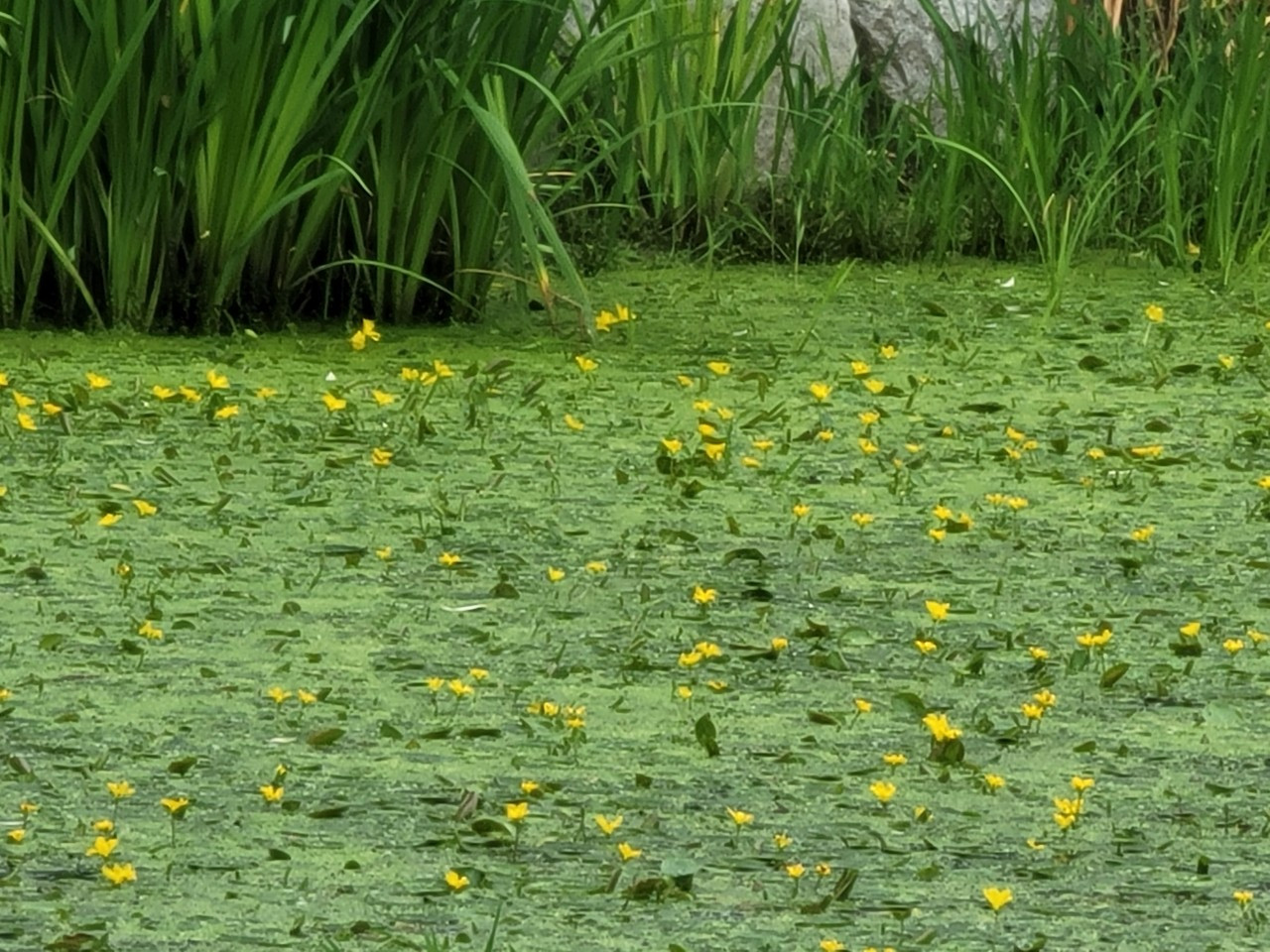 KakaoTalk_20250912_234816431_01 (1).jpg