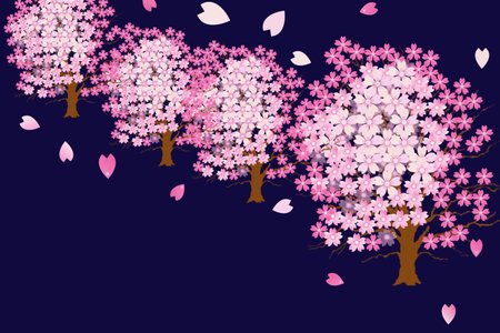 162747727-cherry-blossoms-cherry-blossoms-at-night.jpg