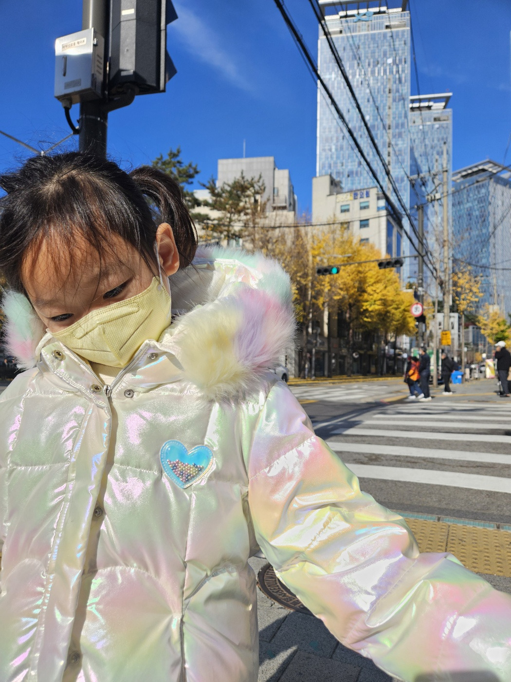 아버님 은행나무.jpg