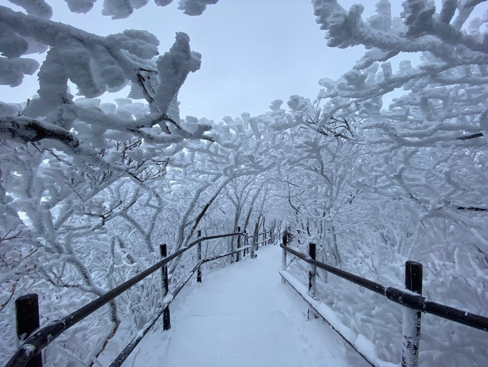 덕유산 2020.02.17-3.jpg