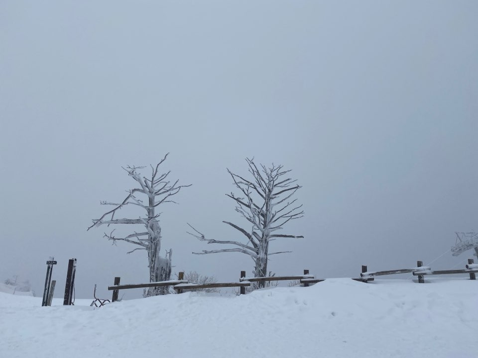 덕유산 2020.02.17.jpg