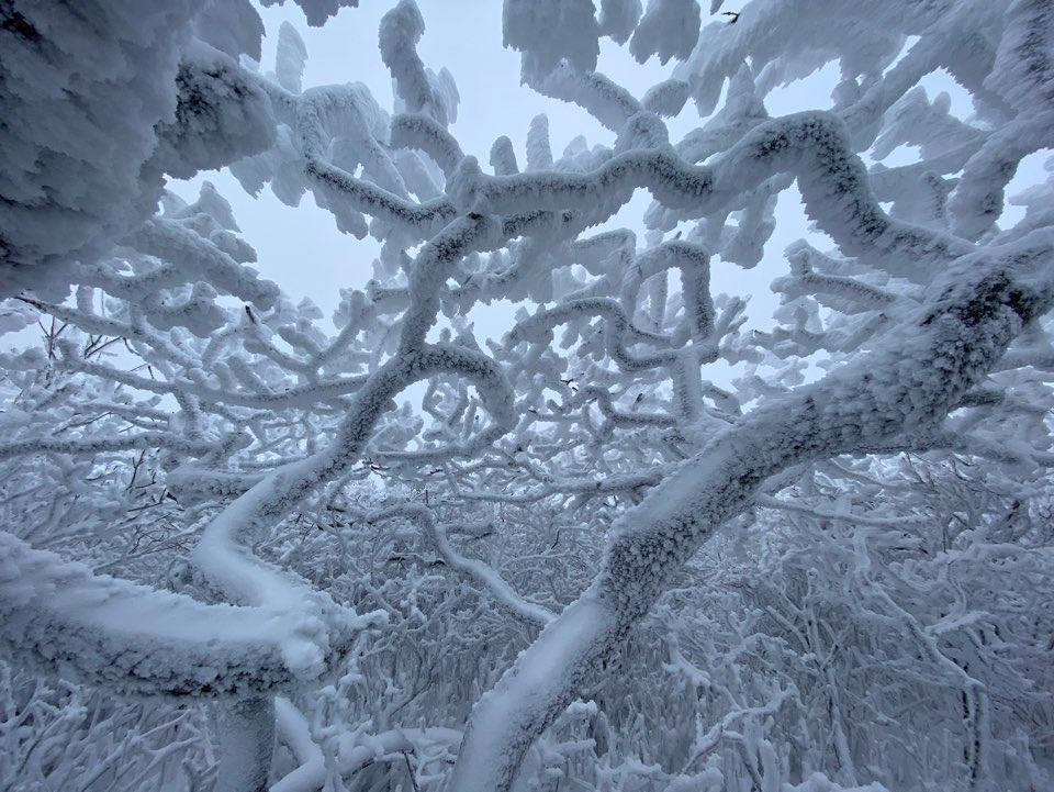 덕유산 2020.02.17-5.jpg
